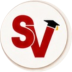 Spanish Vidya logo